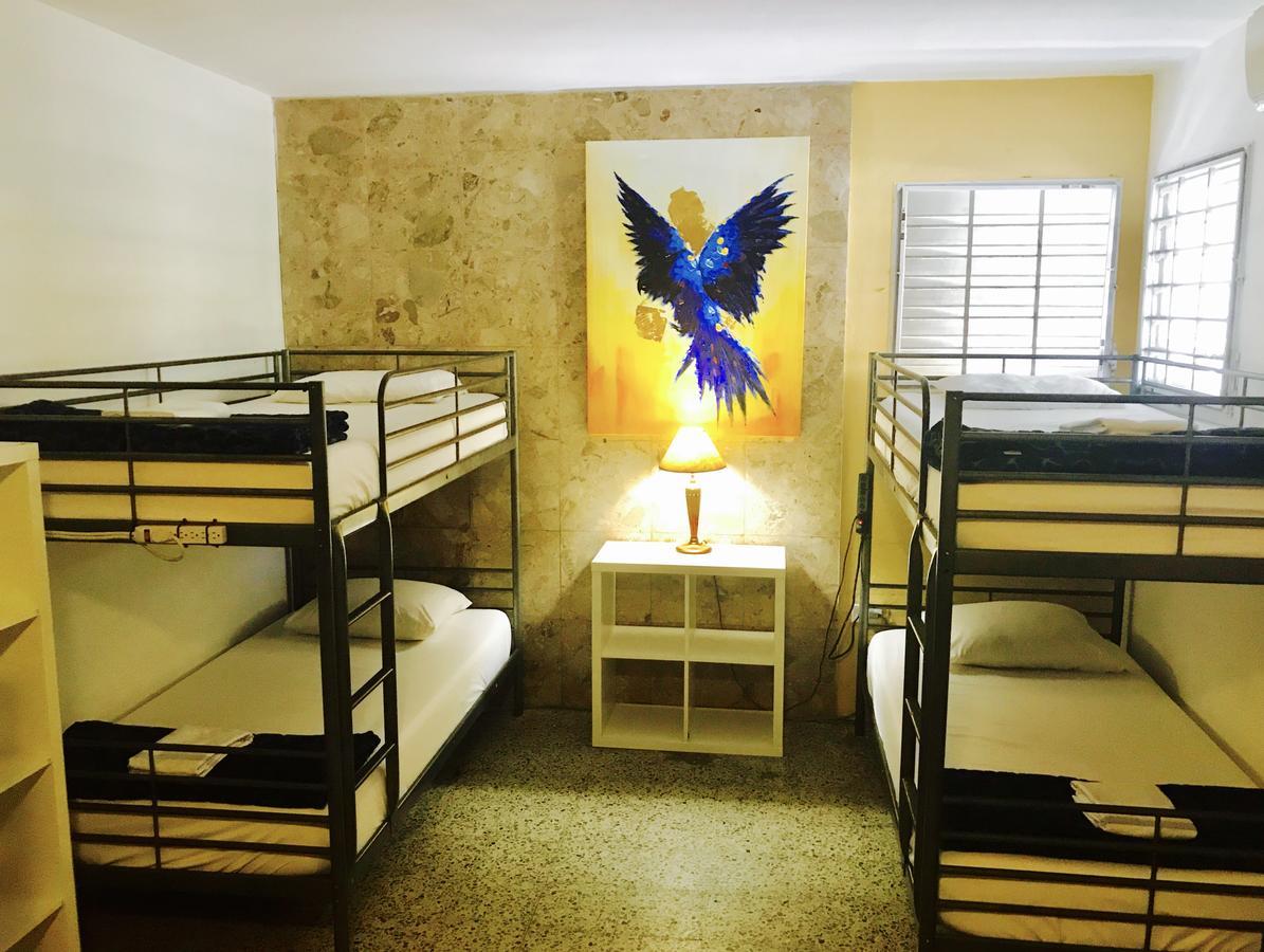 سان خوان Mango Mansion - International Hostel المظهر الخارجي الصورة